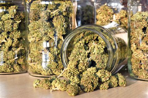 東北大麻花培訓