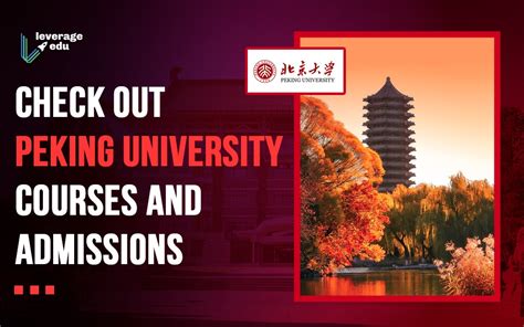 北京大学远程教育
