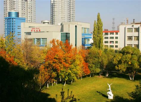 新疆大學(xué)專升本