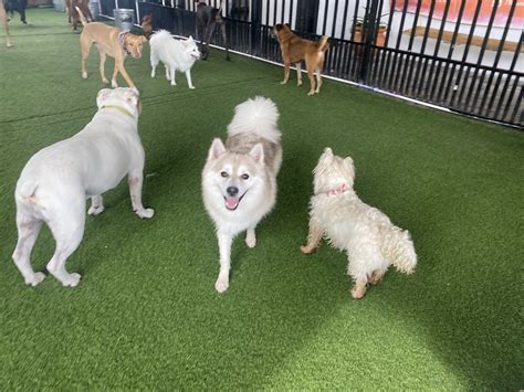 PETS-3公共英语3级