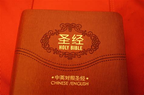 文科辅导（语文、英语）