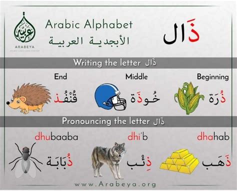 阿拉伯语四级
