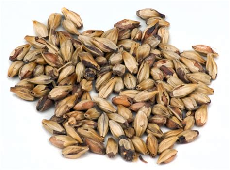 特色烤面筋培訓