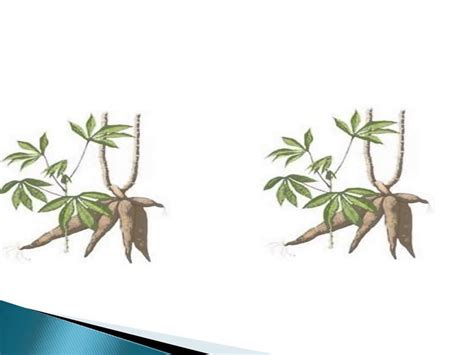 藝考文化課一對(duì)一輔導(dǎo)