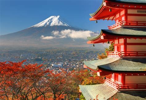 日本留学