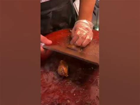 潮州鹵水培訓(xùn)