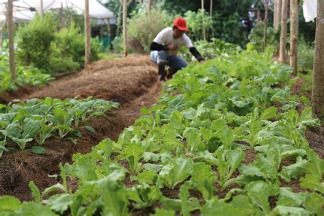 一建系統(tǒng)精講網(wǎng)絡班