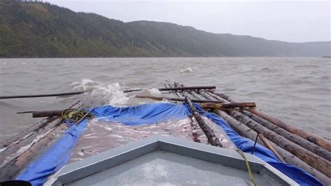 柴火魚培訓(xùn)