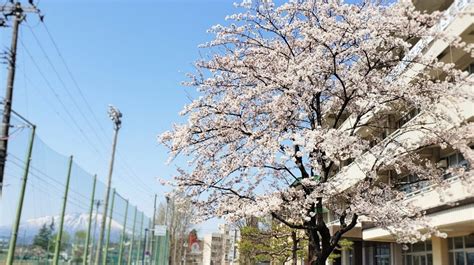 启点英语精品班
