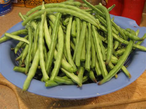 干煸豇豆