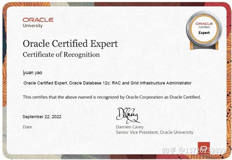 Oracle数据库专家认证OCP课程