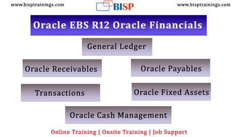 Oracle EBS财务管理实施顾问