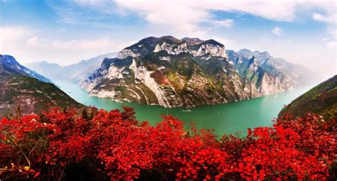 巫山烤魚技術
