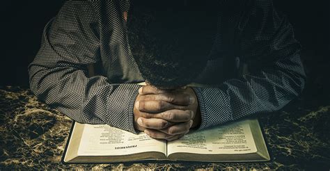 自考网络教育大专本科学历