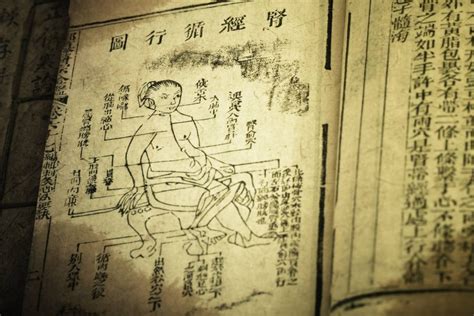 漢醫(yī)古方藥推班