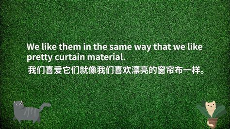 新概念英语初级精品晚班