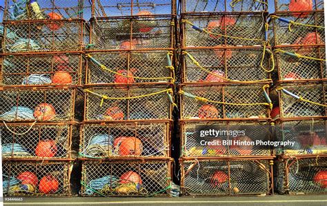 蟹肉煲培訓(xùn)