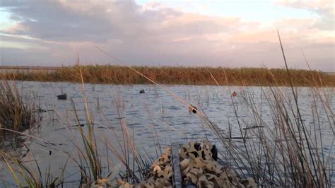 鹽水鴨培訓(xùn)