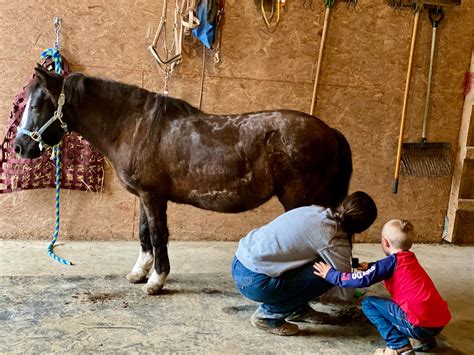 錄播課+直播課游戲英文輕課堂