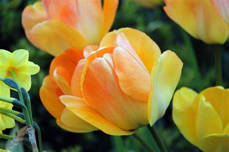 寒暑假—中級(jí)班