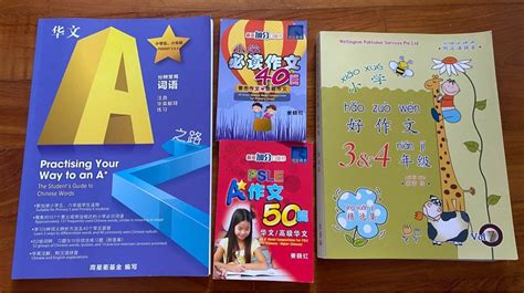 小学语文阅读与写作班