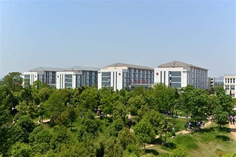 合肥信息職業(yè)技術(shù)學(xué)院