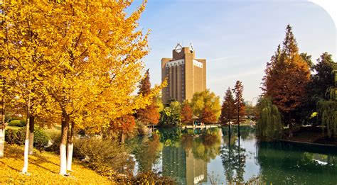 自学考试合肥工业大学