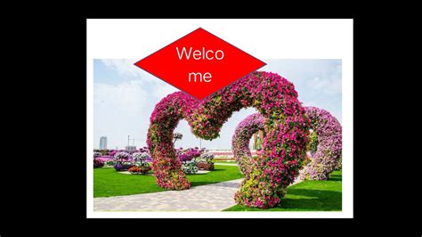 高三英语