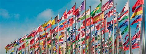 国际首席综合精英全能班