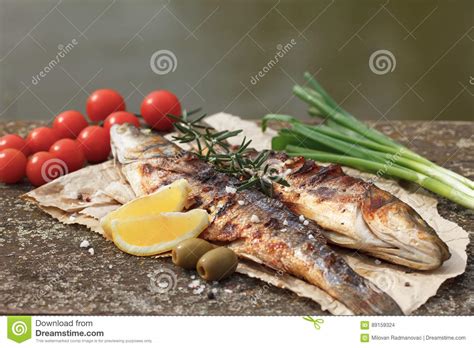紙上烤魚(yú)