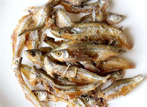 合肥爆魚(yú)