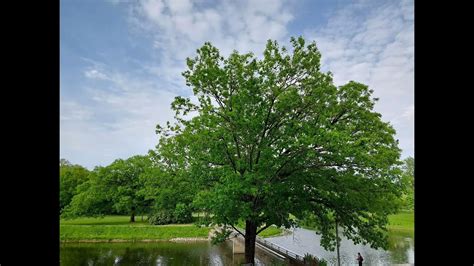 英語口語 外教班