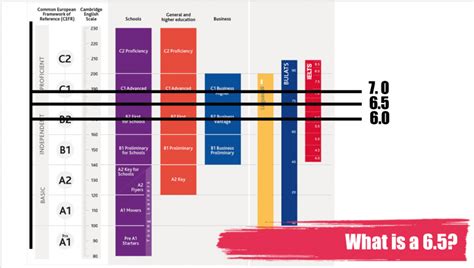 雅思綜合能力2級白金班