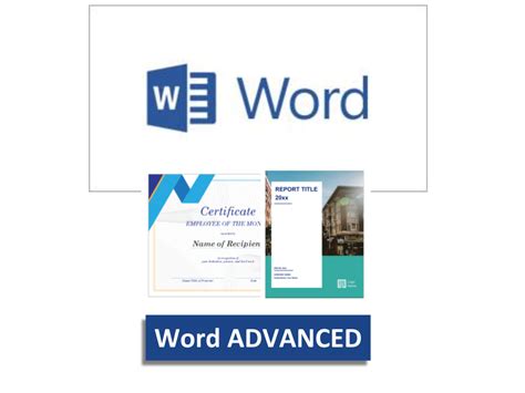 Word高级应用培训