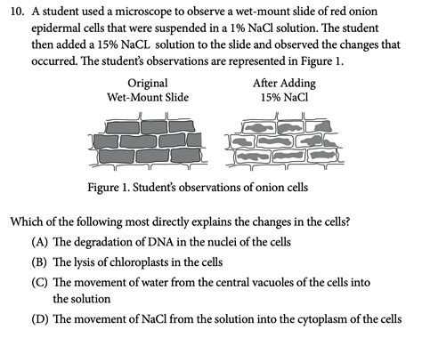 AP Biology 生物6人班