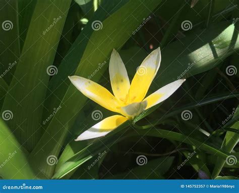 春季中央广播电视大学