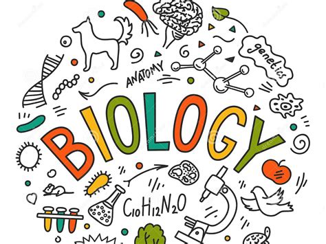 生物预习