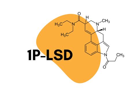 LSD水上亲子课程