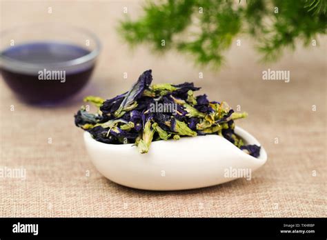 蝶豆花培訓(xùn)