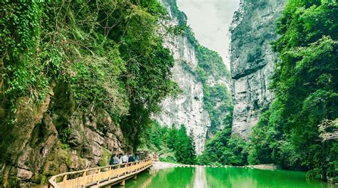 重慶瘋狂土豆