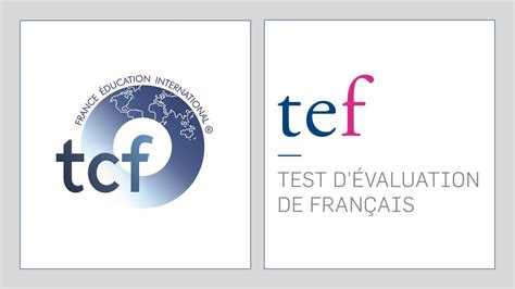 TCF/TEF強化