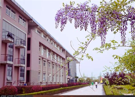 南京財經(jīng)大學高起本