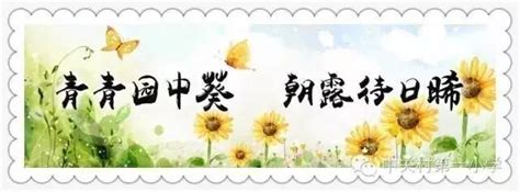 国学课程