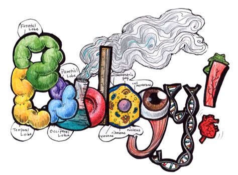 高中生物一对二辅导