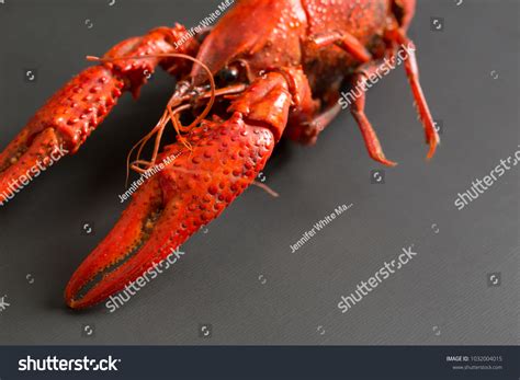 辣煮牛蛙