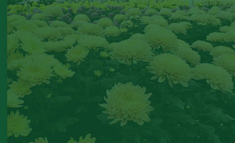 双师课VR建筑与室内表现设计师班