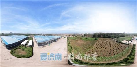 直播課21年萊蕪市意大利羅馬美術(shù)學(xué)院申請(qǐng)攻略