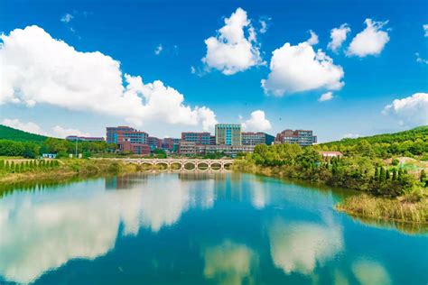 成人高考青岛理工大学