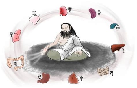 脏腑调理中级班