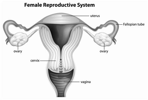 女性生殖调理高级班